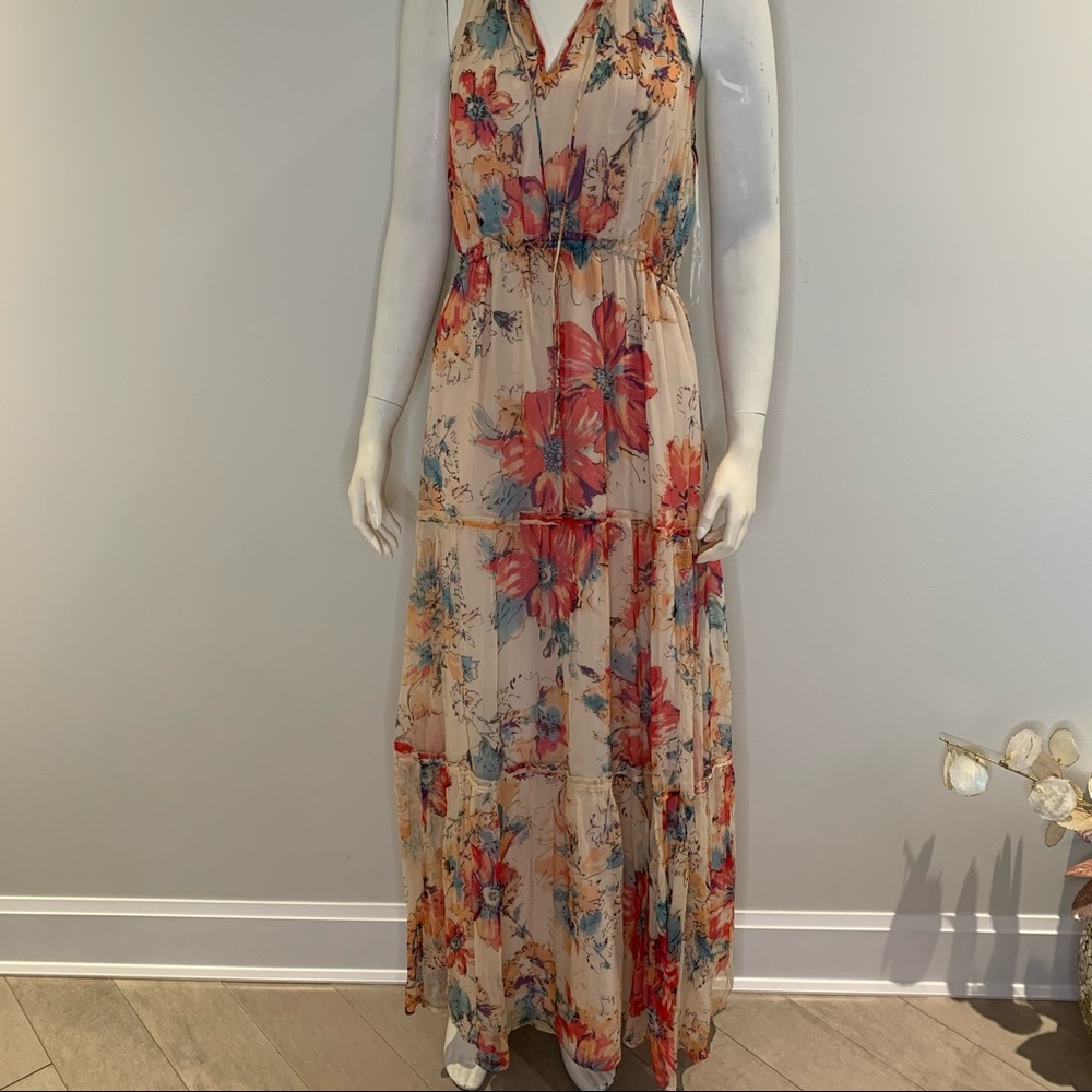 Greylin Catalina Floral Tiered Maxi Dress